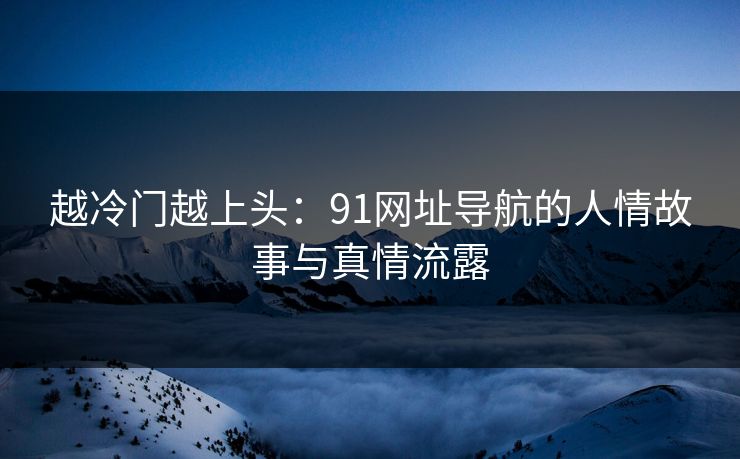 越冷门越上头：91网址导航的人情故事与真情流露  第1张