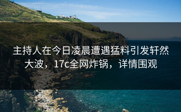 主持人在今日凌晨遭遇猛料引发轩然大波，17c全网炸锅，详情围观