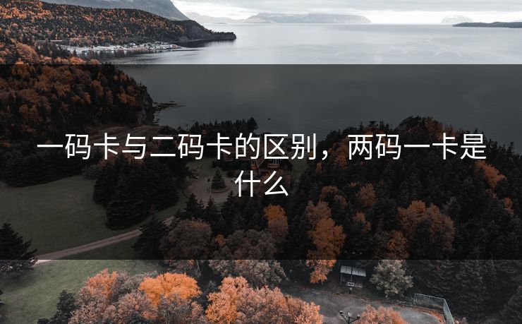 一码卡与二码卡的区别，两码一卡是什么