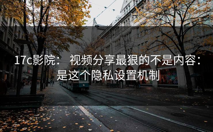 17c影院： 视频分享最狠的不是内容： 是这个隐私设置机制